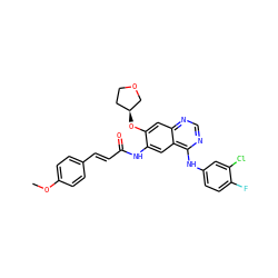 COc1ccc(/C=C/C(=O)Nc2cc3c(Nc4ccc(F)c(Cl)c4)ncnc3cc2O[C@H]2CCOC2)cc1 ZINC000653788978