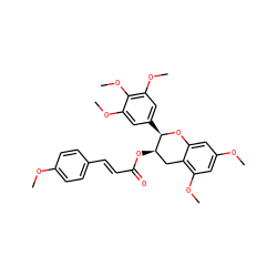 COc1ccc(/C=C/C(=O)O[C@@H]2Cc3c(OC)cc(OC)cc3O[C@@H]2c2cc(OC)c(OC)c(OC)c2)cc1 ZINC000200353285