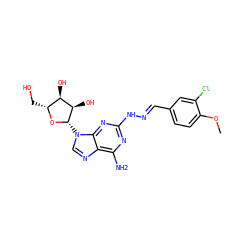 COc1ccc(/C=N/Nc2nc(N)c3ncn([C@@H]4O[C@H](CO)[C@@H](O)[C@H]4O)c3n2)cc1Cl ZINC000095581837
