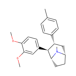 COc1ccc([C@H]2[C@H](c3ccc(C)cc3)C[C@@H]3CC[C@H]2N3C)cc1OC ZINC000028638196