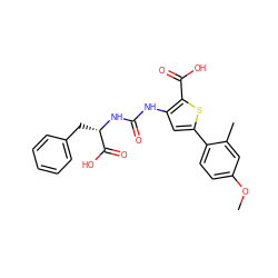 COc1ccc(-c2cc(NC(=O)N[C@@H](Cc3ccccc3)C(=O)O)c(C(=O)O)s2)c(C)c1 ZINC000299864707