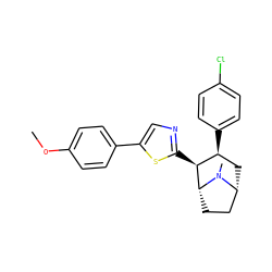 COc1ccc(-c2cnc([C@H]3[C@@H](c4ccc(Cl)cc4)C[C@@H]4CC[C@H]3N4C)s2)cc1 ZINC000014978601