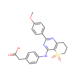 COc1ccc(-c2nc3c(c(Nc4ccc(CC(=O)O)cc4)n2)S(=O)(=O)CCC3)cc1 ZINC000103259168