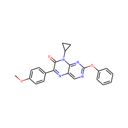 COc1ccc(-c2nc3cnc(Oc4ccccc4)nc3n(C3CC3)c2=O)cc1 ZINC000004238433