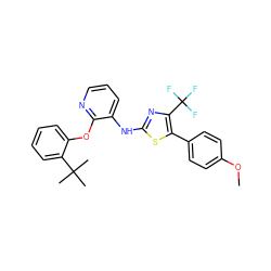 COc1ccc(-c2sc(Nc3cccnc3Oc3ccccc3C(C)(C)C)nc2C(F)(F)F)cc1 ZINC000096272804