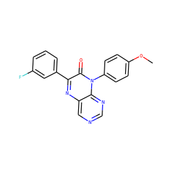 COc1ccc(-n2c(=O)c(-c3cccc(F)c3)nc3cncnc32)cc1 ZINC000004238654