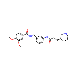 COc1ccc(C(=O)NCc2cccc(NC(=O)CC[C@@H]3CCCNC3)c2)cc1OC ZINC000045337399