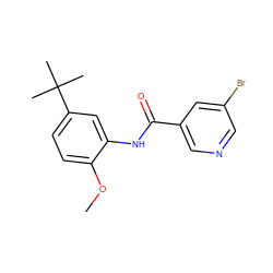 COc1ccc(C(C)(C)C)cc1NC(=O)c1cncc(Br)c1 ZINC000002623804