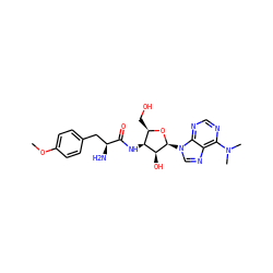 COc1ccc(C[C@H](N)C(=O)N[C@H]2[C@@H](CO)O[C@@H](n3cnc4c(N(C)C)ncnc43)[C@H]2O)cc1 ZINC000064511802