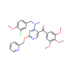 COc1ccc(CN(C)c2nc(OCc3ccccn3)ncc2C(=O)c2cc(OC)c(OC)c(OC)c2)cc1Cl ZINC000139935522