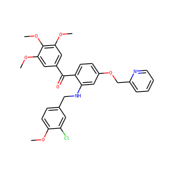 COc1ccc(CNc2cc(OCc3ccccn3)ccc2C(=O)c2cc(OC)c(OC)c(OC)c2)cc1Cl ZINC000139964325