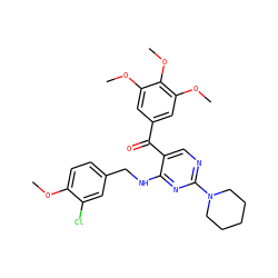 COc1ccc(CNc2nc(N3CCCCC3)ncc2C(=O)c2cc(OC)c(OC)c(OC)c2)cc1Cl ZINC000299824677