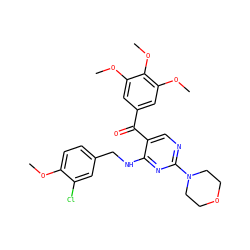 COc1ccc(CNc2nc(N3CCOCC3)ncc2C(=O)c2cc(OC)c(OC)c(OC)c2)cc1Cl ZINC000299821761