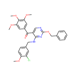 COc1ccc(CNc2nc(OCc3ccccc3)ncc2C(=O)c2cc(OC)c(OC)c(OC)c2)cc1Cl ZINC000148392313