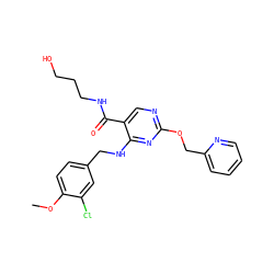 COc1ccc(CNc2nc(OCc3ccccn3)ncc2C(=O)NCCCO)cc1Cl ZINC000299831999