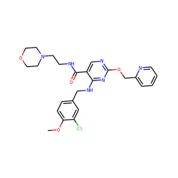 COc1ccc(CNc2nc(OCc3ccccn3)ncc2C(=O)NCCN2CCOCC2)cc1Cl ZINC000299821254
