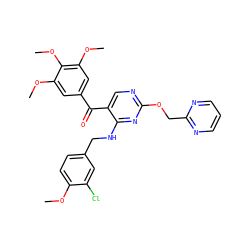 COc1ccc(CNc2nc(OCc3ncccn3)ncc2C(=O)c2cc(OC)c(OC)c(OC)c2)cc1Cl ZINC000148374101