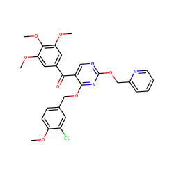 COc1ccc(COc2nc(OCc3ccccn3)ncc2C(=O)c2cc(OC)c(OC)c(OC)c2)cc1Cl ZINC000165219953