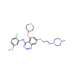COc1ccc(Cl)c(Nc2ncnc3cc(OCCCN4CCN(C)CC4)cc(OC4CCOCC4)c23)c1 ZINC000022451814
