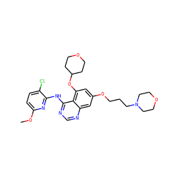 COc1ccc(Cl)c(Nc2ncnc3cc(OCCCN4CCOCC4)cc(OC4CCOCC4)c23)n1 ZINC000028530256