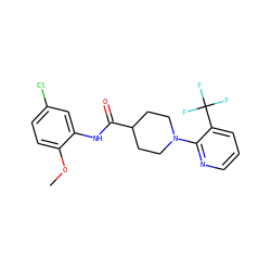 COc1ccc(Cl)cc1NC(=O)C1CCN(c2ncccc2C(F)(F)F)CC1 ZINC000169349277