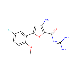COc1ccc(F)cc1-c1cc(N)c(C(=O)N=C(N)N)o1 ZINC000028822444