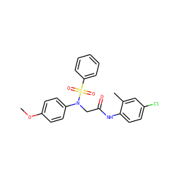 COc1ccc(N(CC(=O)Nc2ccc(Cl)cc2C)S(=O)(=O)c2ccccc2)cc1 ZINC000000875778