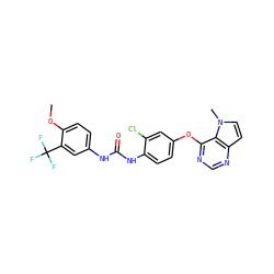 COc1ccc(NC(=O)Nc2ccc(Oc3ncnc4ccn(C)c34)cc2Cl)cc1C(F)(F)F ZINC000064245716