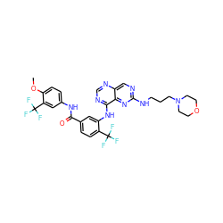 COc1ccc(NC(=O)c2ccc(C(F)(F)F)c(Nc3ncnc4cnc(NCCCN5CCOCC5)nc34)c2)cc1C(F)(F)F ZINC000165259050