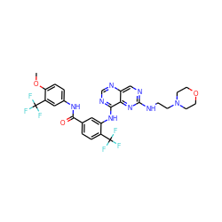 COc1ccc(NC(=O)c2ccc(C(F)(F)F)c(Nc3ncnc4cnc(NCCN5CCOCC5)nc34)c2)cc1C(F)(F)F ZINC000165259279