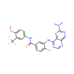 COc1ccc(NC(=O)c2ccc(Cl)c(Nc3ncnc4cnc(N(C)C)nc34)c2)cc1C(F)(F)F ZINC000148066970
