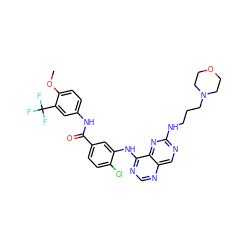 COc1ccc(NC(=O)c2ccc(Cl)c(Nc3ncnc4cnc(NCCCN5CCOCC5)nc34)c2)cc1C(F)(F)F ZINC000148065562