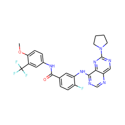 COc1ccc(NC(=O)c2ccc(F)c(Nc3ncnc4cnc(N5CCCC5)nc34)c2)cc1C(F)(F)F ZINC000148074643
