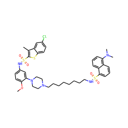 COc1ccc(NS(=O)(=O)c2sc3ccc(Cl)cc3c2C)cc1N1CCN(CCCCCCCCNS(=O)(=O)c2cccc3c(N(C)C)cccc23)CC1 ZINC000095544862