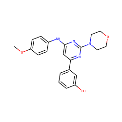 COc1ccc(Nc2cc(-c3cccc(O)c3)nc(N3CCOCC3)n2)cc1 ZINC000064560553