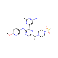 COc1ccc(Nc2ncc([C@@H](C)N3CCN(S(C)(=O)=O)CC3)nc2-c2cc(N)nc(C)n2)cn1 ZINC000113151718