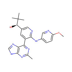 COc1ccc(Nc2ncc([C@@H](O)C(C)(C)C)cc2-c2nc(C)nc3[nH]cnc23)cn1 ZINC000113148395