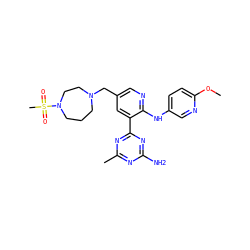 COc1ccc(Nc2ncc(CN3CCCN(S(C)(=O)=O)CC3)cc2-c2nc(C)nc(N)n2)cn1 ZINC000095553641