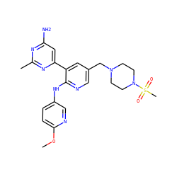 COc1ccc(Nc2ncc(CN3CCN(S(C)(=O)=O)CC3)cc2-c2cc(N)nc(C)n2)cn1 ZINC000113151184