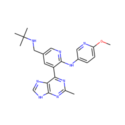 COc1ccc(Nc2ncc(CNC(C)(C)C)cc2-c2nc(C)nc3[nH]cnc23)cn1 ZINC000113153608