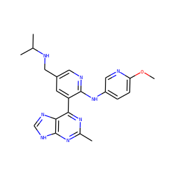 COc1ccc(Nc2ncc(CNC(C)C)cc2-c2nc(C)nc3[nH]cnc23)cn1 ZINC000113149512