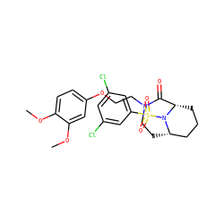 COc1ccc(OCCN2CC[C@H]3CCC[C@@H](C2=O)N3S(=O)(=O)c2cc(Cl)cc(Cl)c2)cc1OC ZINC000095604976