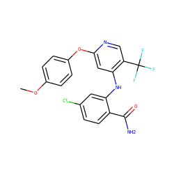 COc1ccc(Oc2cc(Nc3cc(Cl)ccc3C(N)=O)c(C(F)(F)F)cn2)cc1 ZINC000073161959