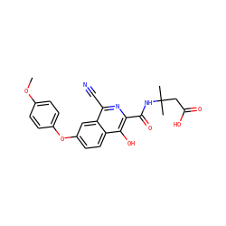 COc1ccc(Oc2ccc3c(O)c(C(=O)NC(C)(C)CC(=O)O)nc(C#N)c3c2)cc1 ZINC000146672437
