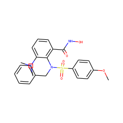 COc1ccc(S(=O)(=O)N(Cc2ccccc2)c2c(C(=O)NO)cccc2N(C)C)cc1 ZINC000026472023