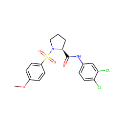 COc1ccc(S(=O)(=O)N2CCC[C@H]2C(=O)Nc2ccc(Cl)c(Cl)c2)cc1 ZINC000009306296