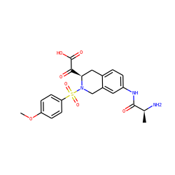COc1ccc(S(=O)(=O)N2Cc3cc(NC(=O)[C@H](C)N)ccc3C[C@@H]2C(=O)C(=O)O)cc1 ZINC000013797800