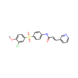 COc1ccc(S(=O)(=O)c2ccc(NC(=O)/C=C/c3cccnc3)cc2)cc1Cl ZINC000142188654