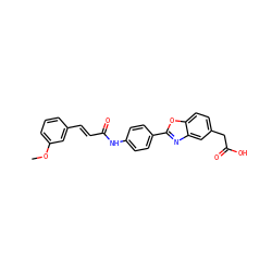 COc1cccc(/C=C/C(=O)Nc2ccc(-c3nc4cc(CC(=O)O)ccc4o3)cc2)c1 ZINC000028524659