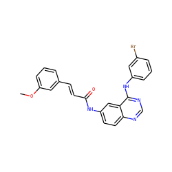 COc1cccc(/C=C/C(=O)Nc2ccc3ncnc(Nc4cccc(Br)c4)c3c2)c1 ZINC000072108005